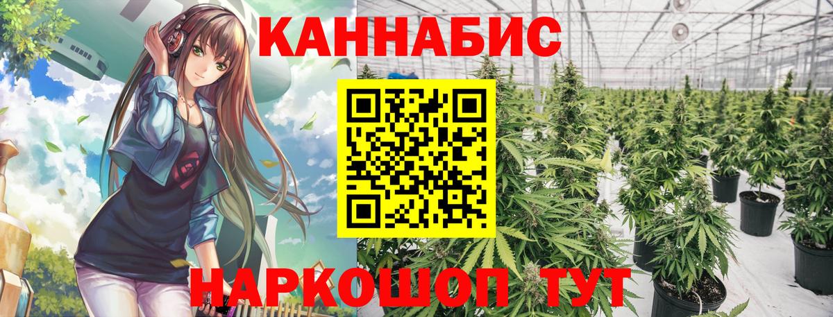 Бошки Шишки план  Вход с VPN  Шебекино  Шишки марихуана Amnesia 